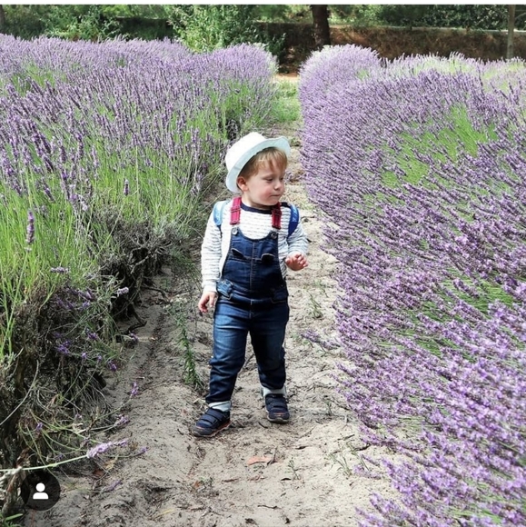 2/40 Catimini baby boy overall - Picture 3 of 13